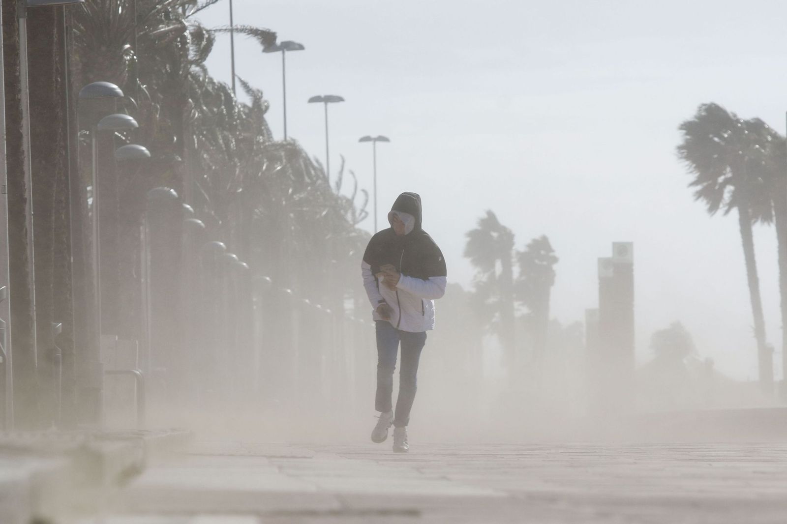 Fuertes rachas de viento en el Paseo Marítimo de Almería.