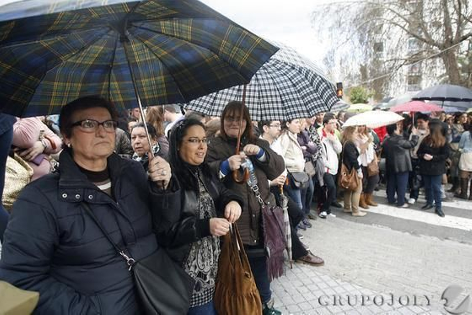 Rescatado

Foto: Rafael A. Butelo