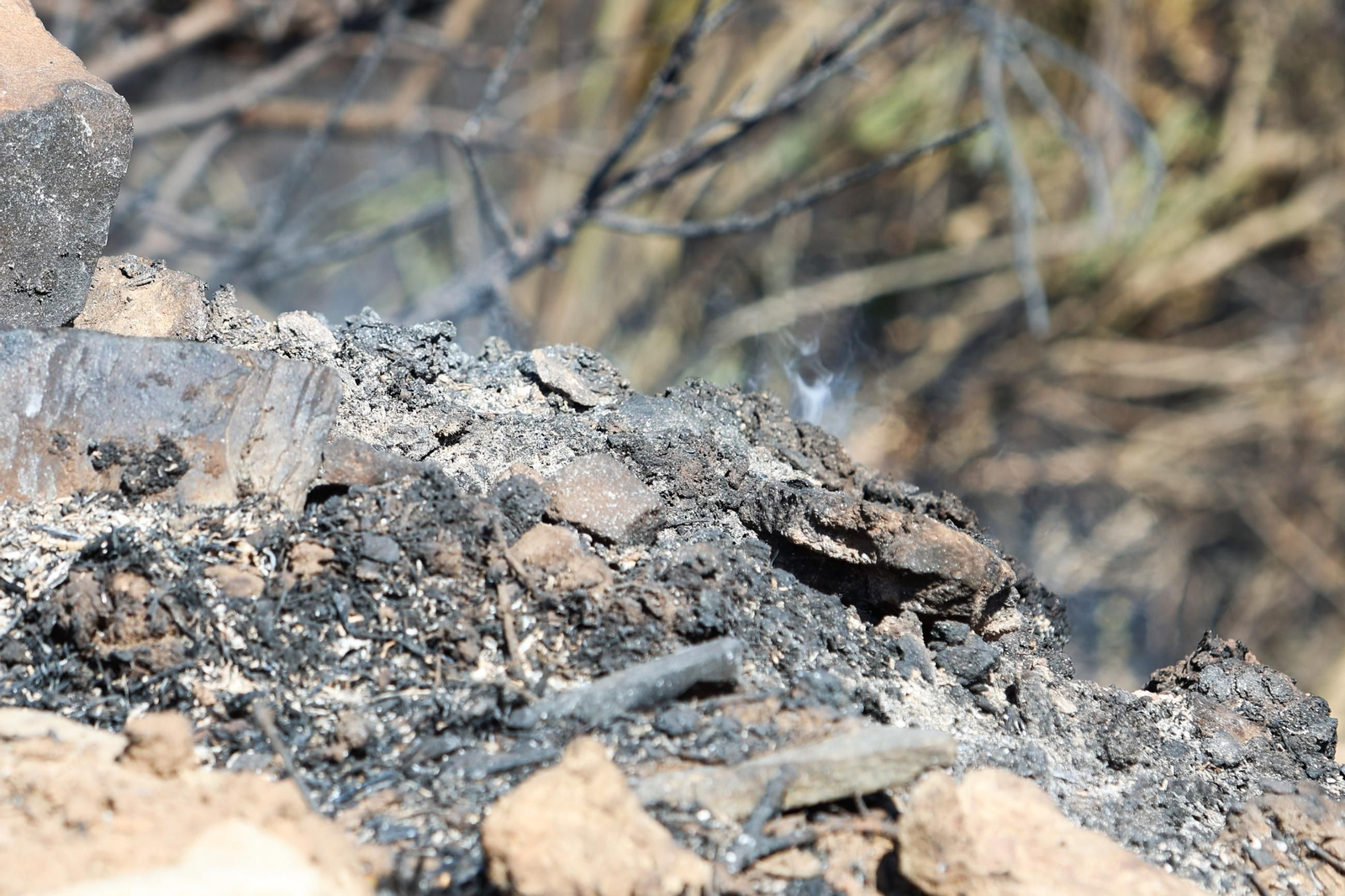 Las fotos de los efectos del incendio forestal en la Sierra de la Plata y Atlanterra, en Tarifa