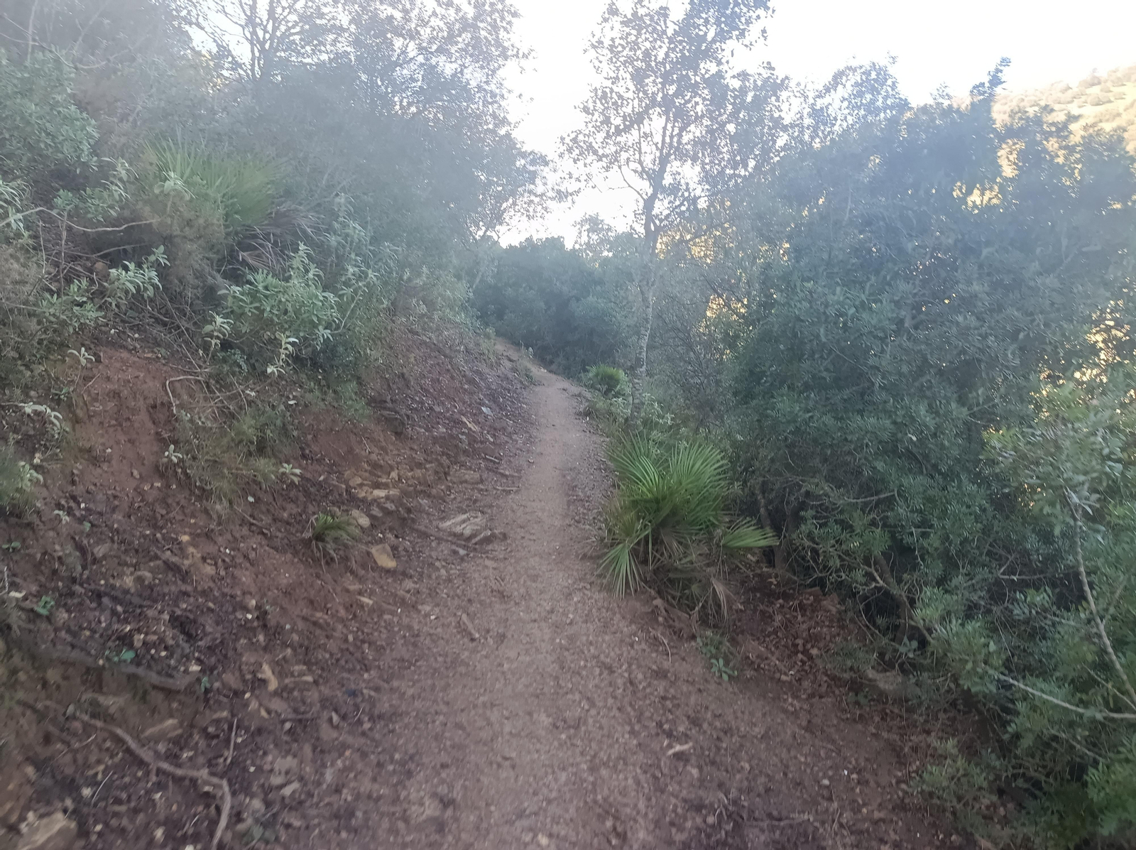 Fotos de la ruta circular de San Pedro, en Coripe