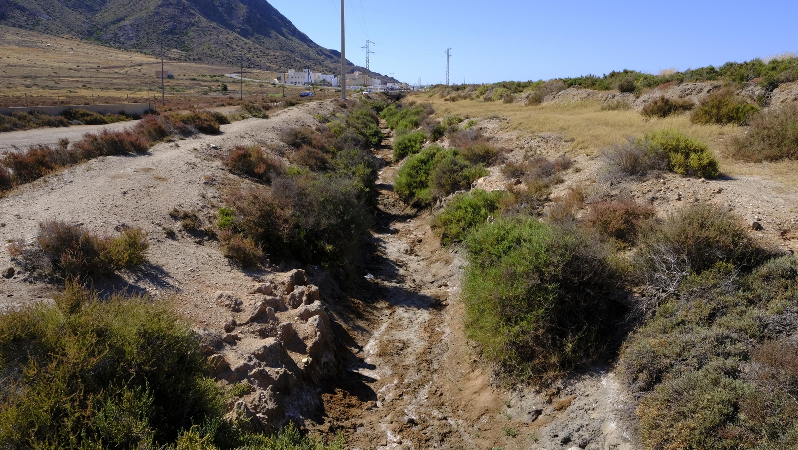 Imágenes de la cadena humana contra la desecación de Las Salinas de Cabo de Gata. Almería
