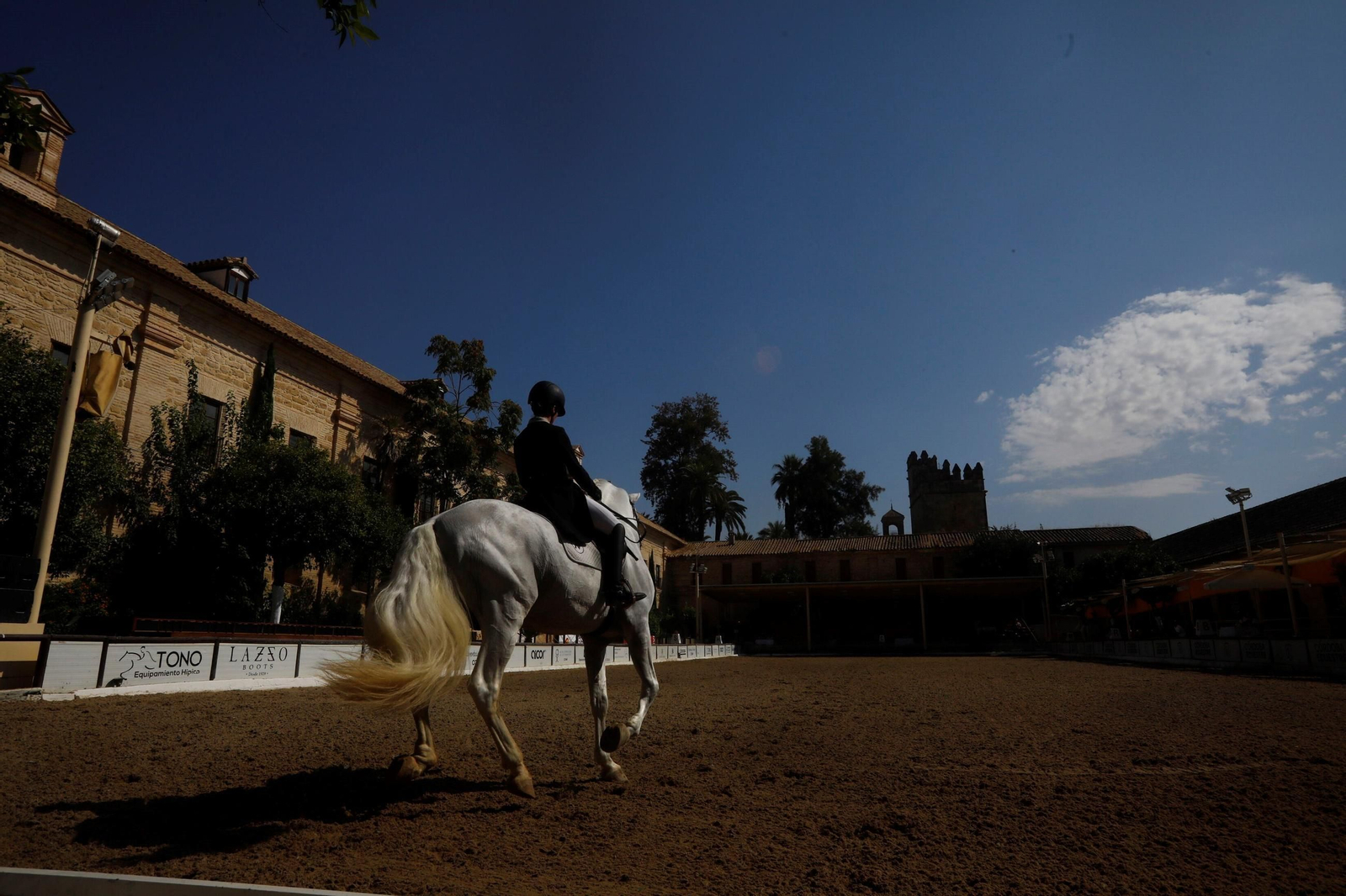 El concurso nacional de Doma Clásica en las Caballerizas Reales de Córdoba