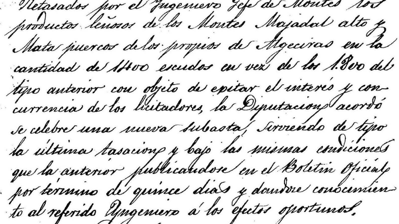 Retasados los productos de los montes propios de Algeciras.
