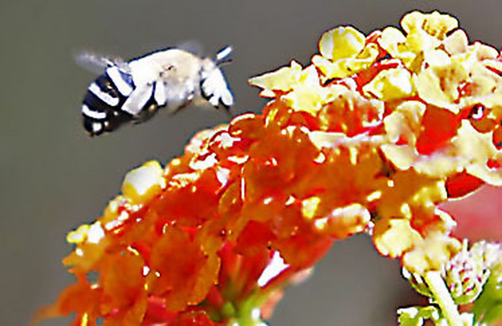 Las imágenes más destacadas del sábado 21 de octubre en Huelva