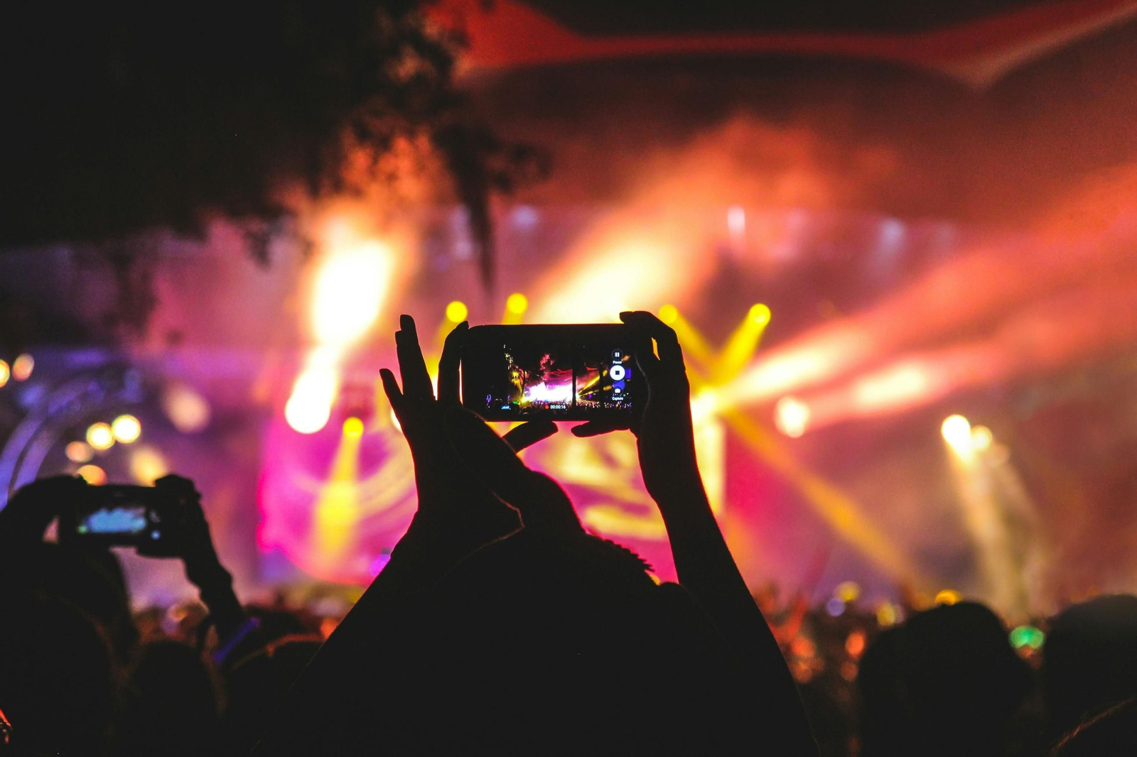 Una persona, en un concierto
