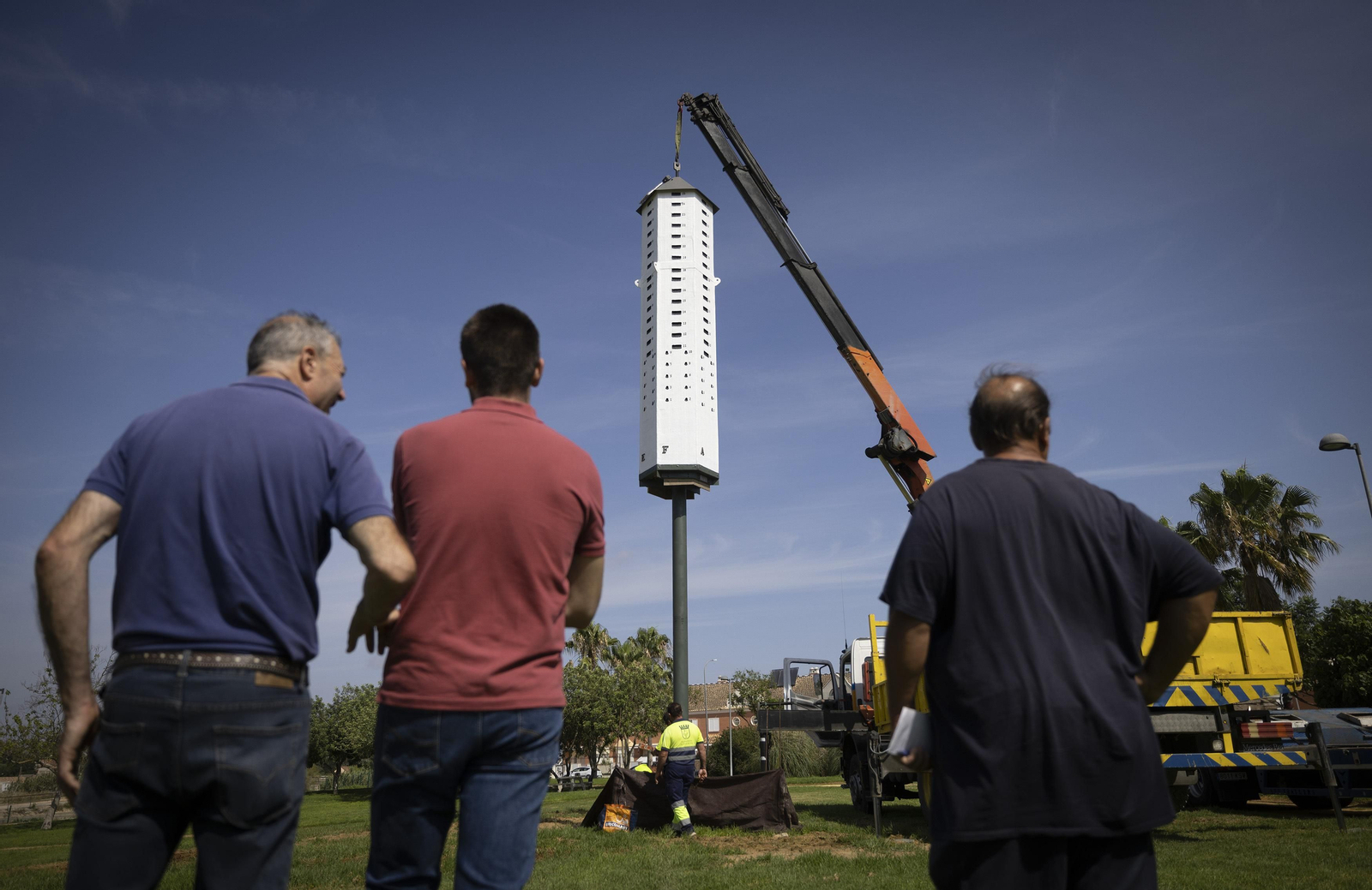La primera torre-nido de España para el control del virus del Nilo, todas las imágenes