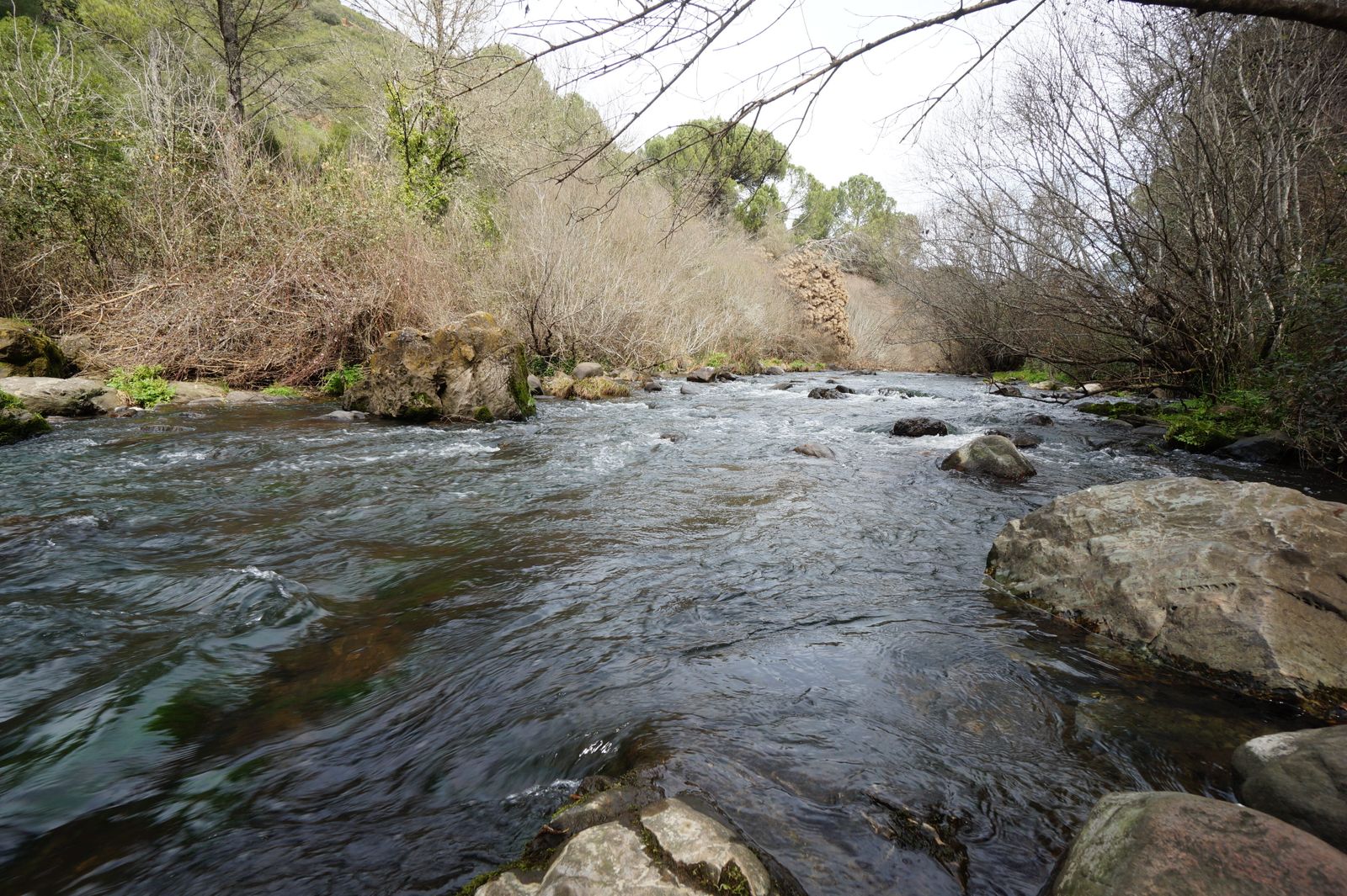 Una ruta por los Baños de Popea en Córdoba, en fotografías