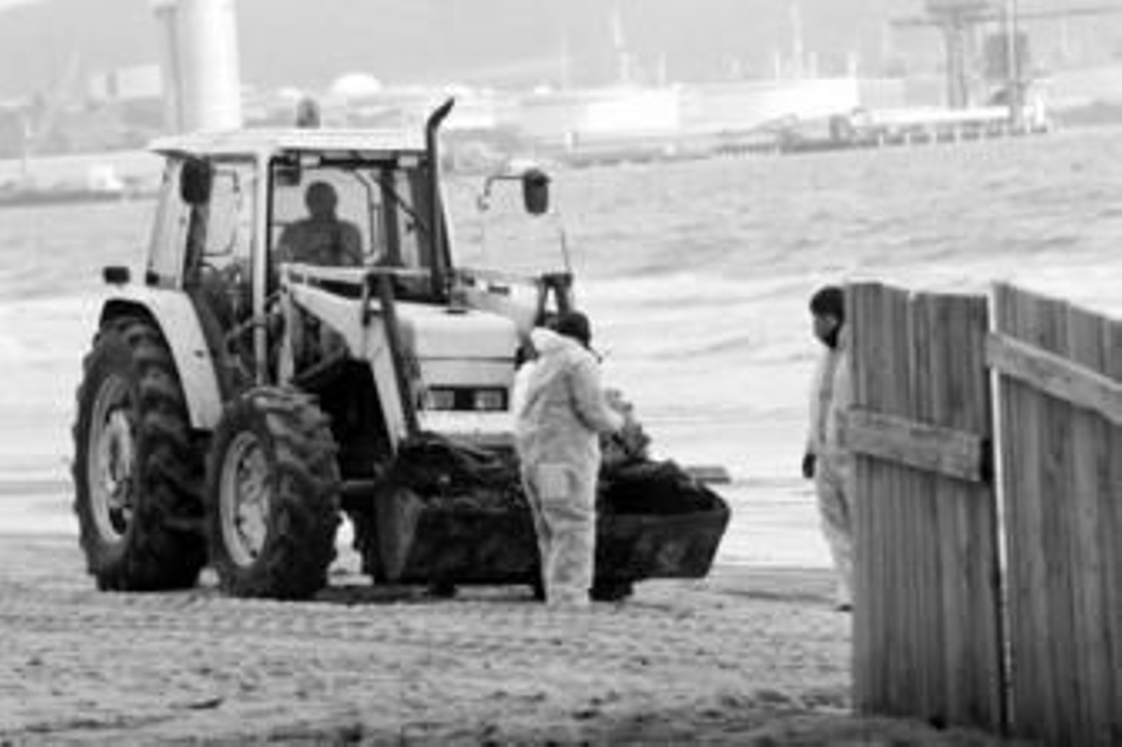 Operarios trabajan en las labores de limpieza en la playa algecireña de Getares.