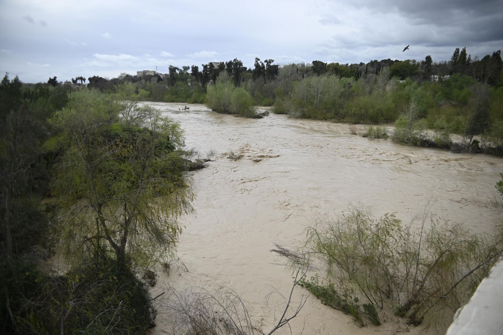 El río Guadalquivir recupera la normalidad tras las lluvias, pero sigue vigilado