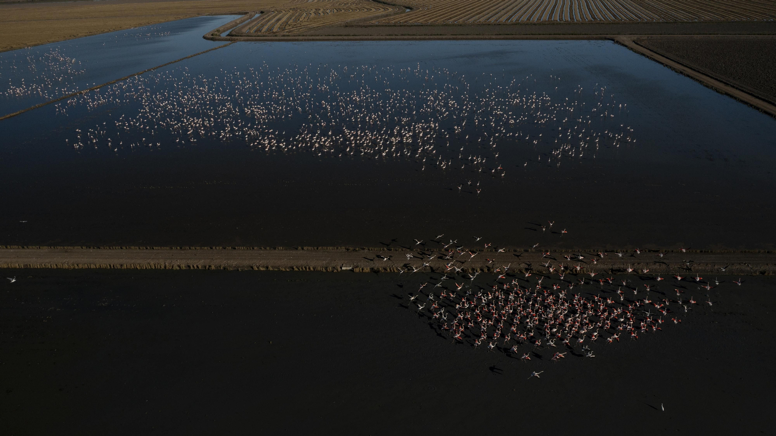 Día Mundial de Agua 2022