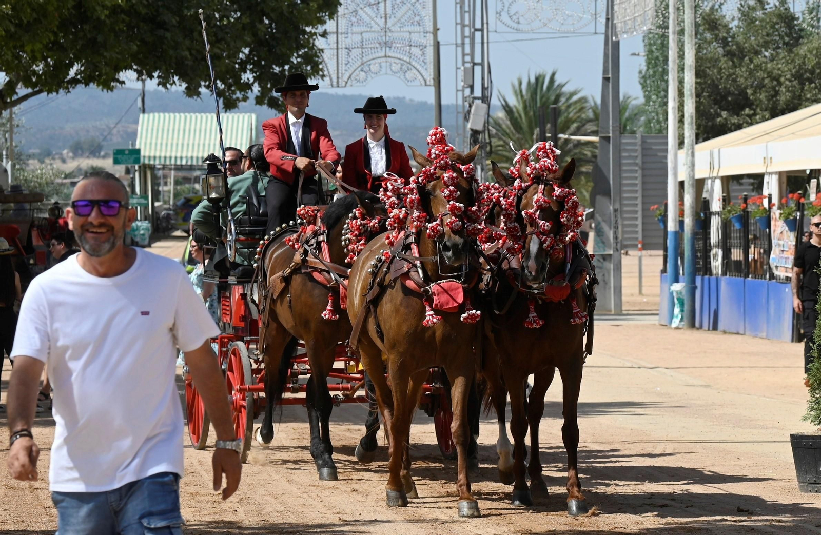 El Día del Caballo en la Feria de Córdoba