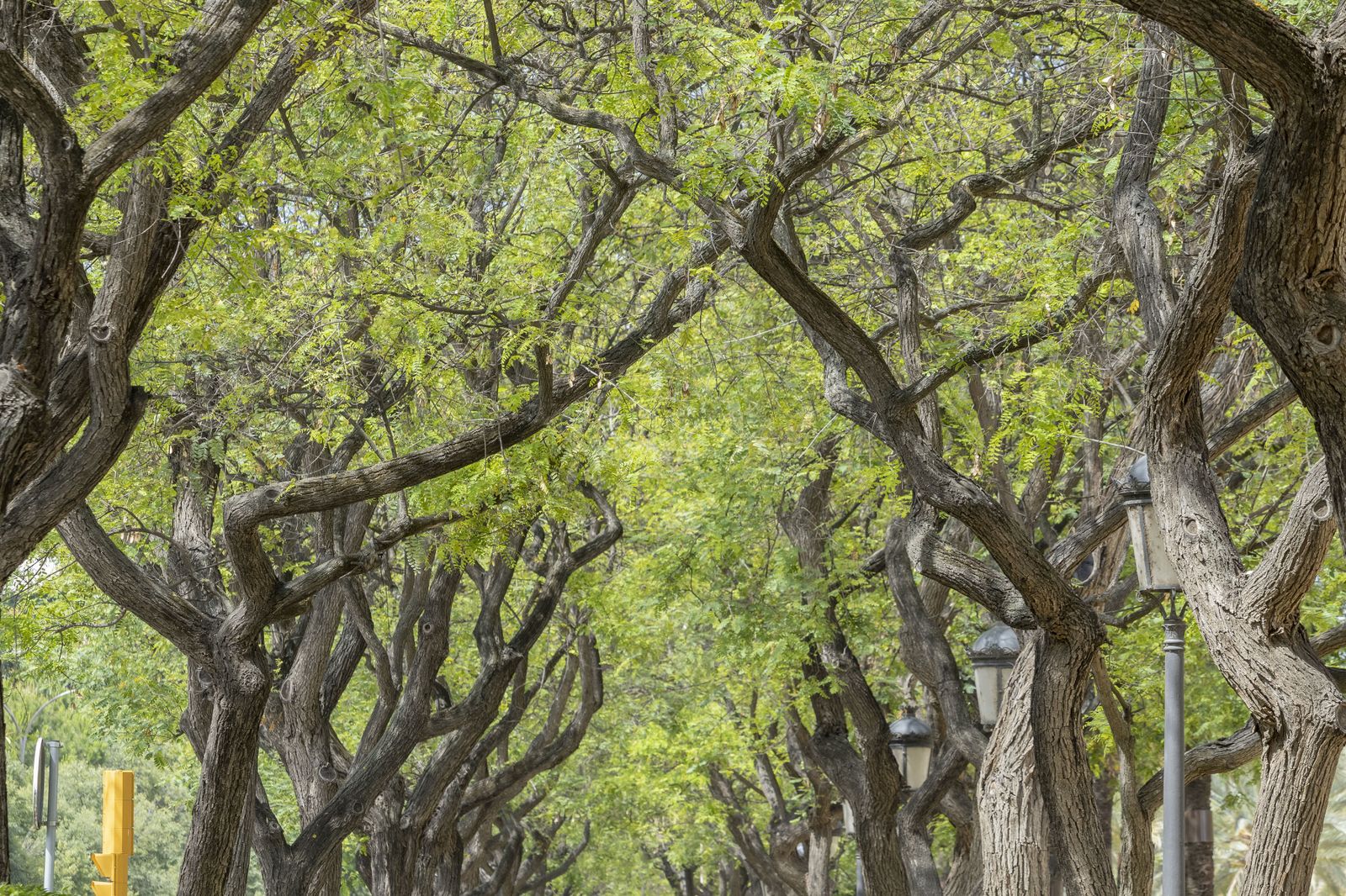 Imágenes del lunes 12 de junio en Huelva