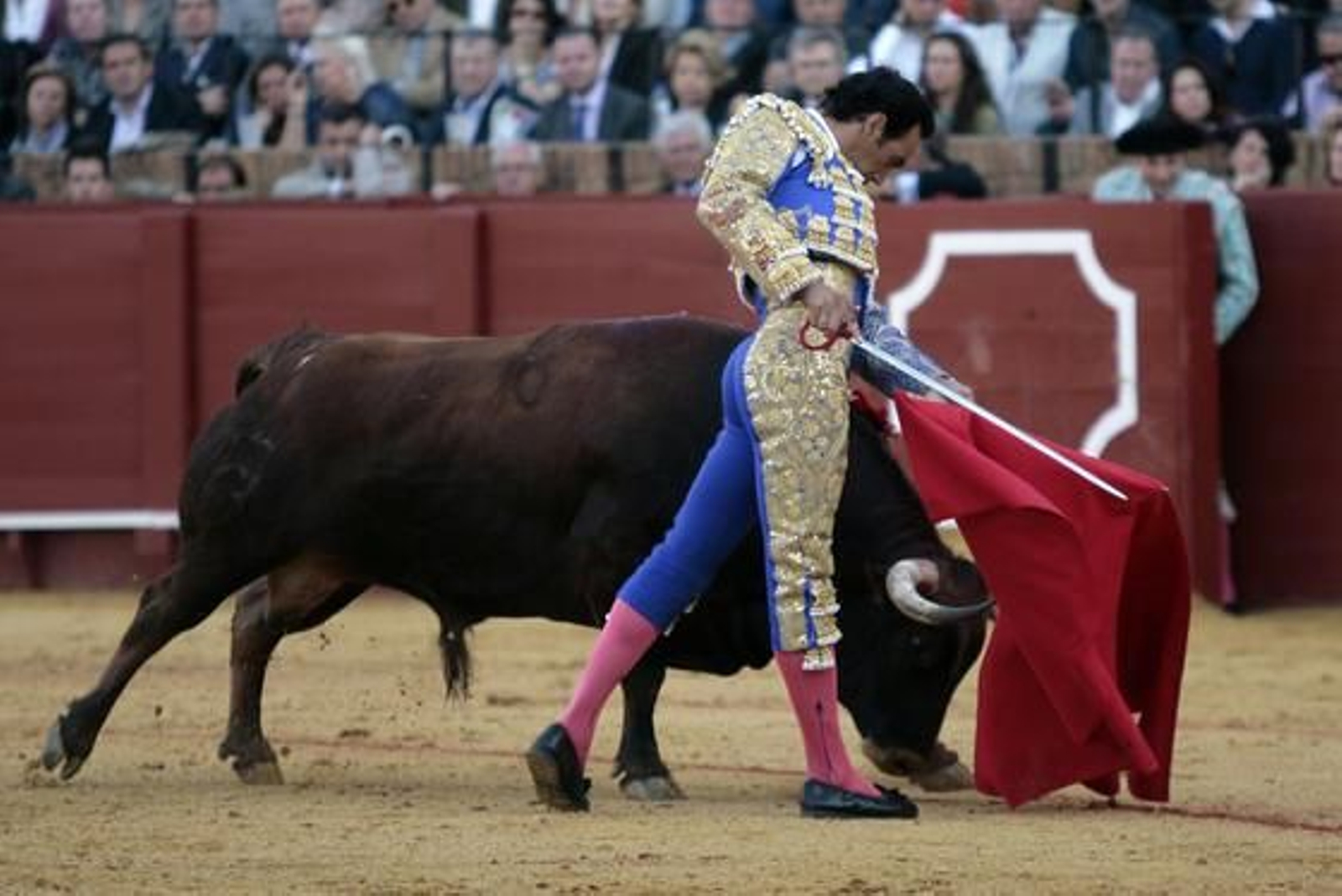 Foto: Juan Carlos Muñoz