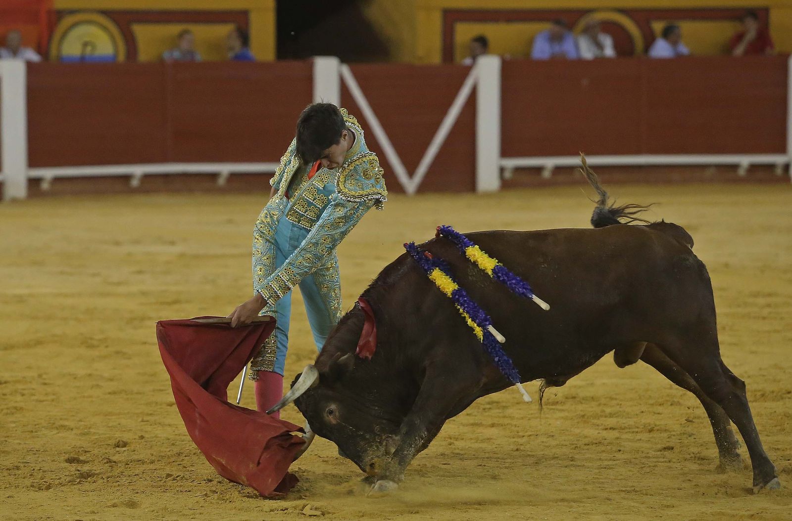 La novillada de Miguelín que abre la feria de Algeciras, en imágenes
