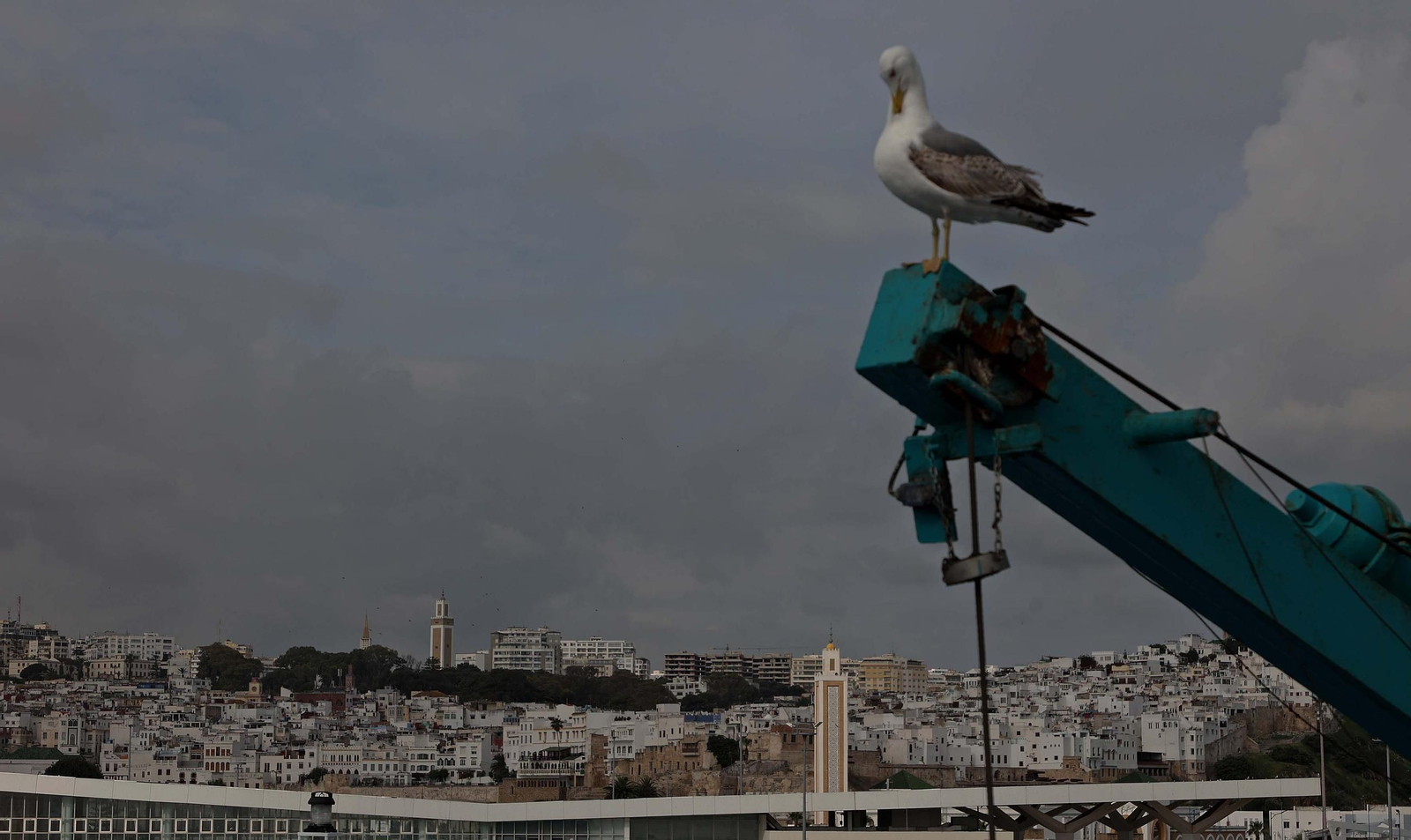 Un paseo por la ciudad de Tánger, en imágenes