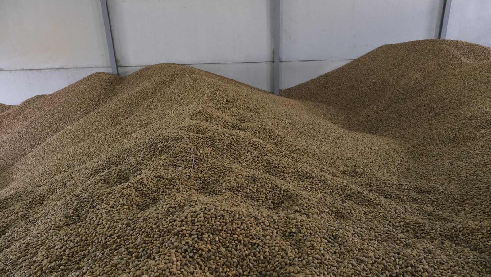 Imágenes de la almendra ecológica de Chirivel