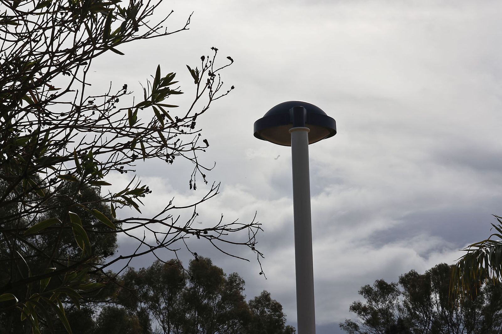 Último domingo de 2025: Ambiente y tiempo inestable marcan los preparativos de fin de año