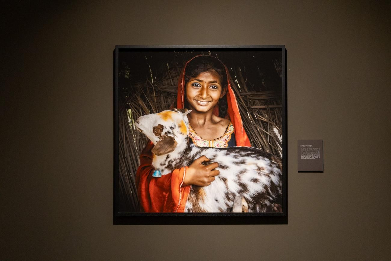 One Health en imágenes: la fotogalería de Katy Gómez que te hará reflexionar sobre la salud global