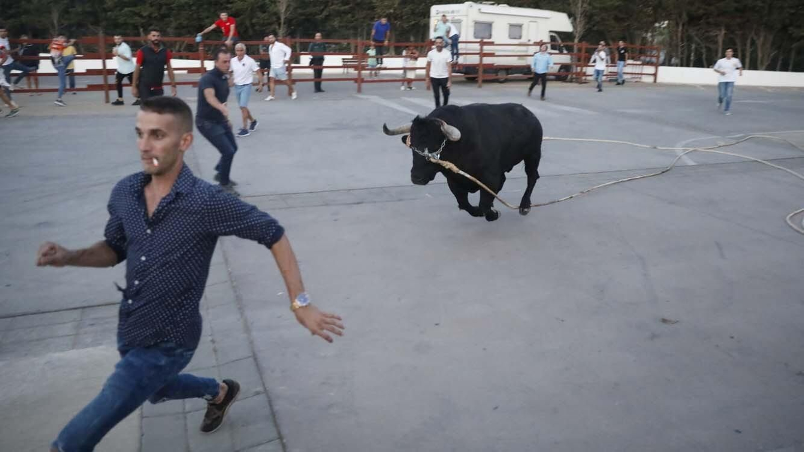 Las fotos del Toro del Aguardiente de San Roque