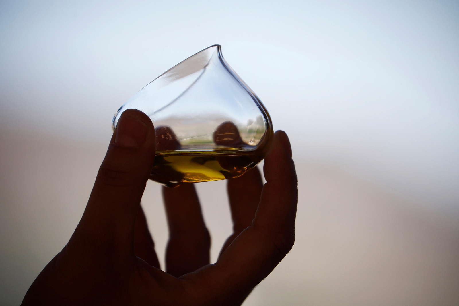 Una cata de aceite de la DOP Priego de Córdoba.