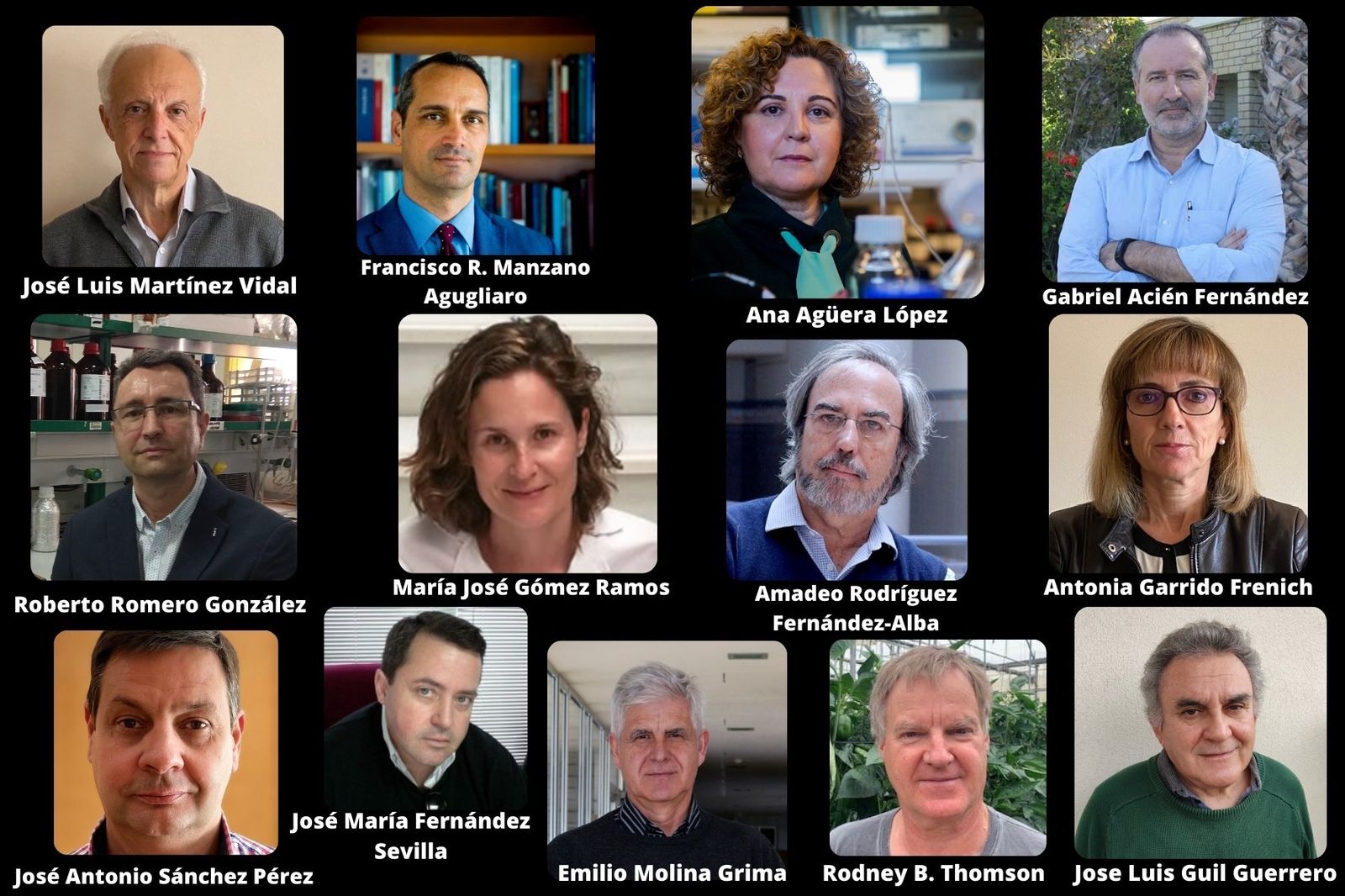 Los 13 investigadores de la UAL que aparecen en el ranking World’s Top 2% Scientist.