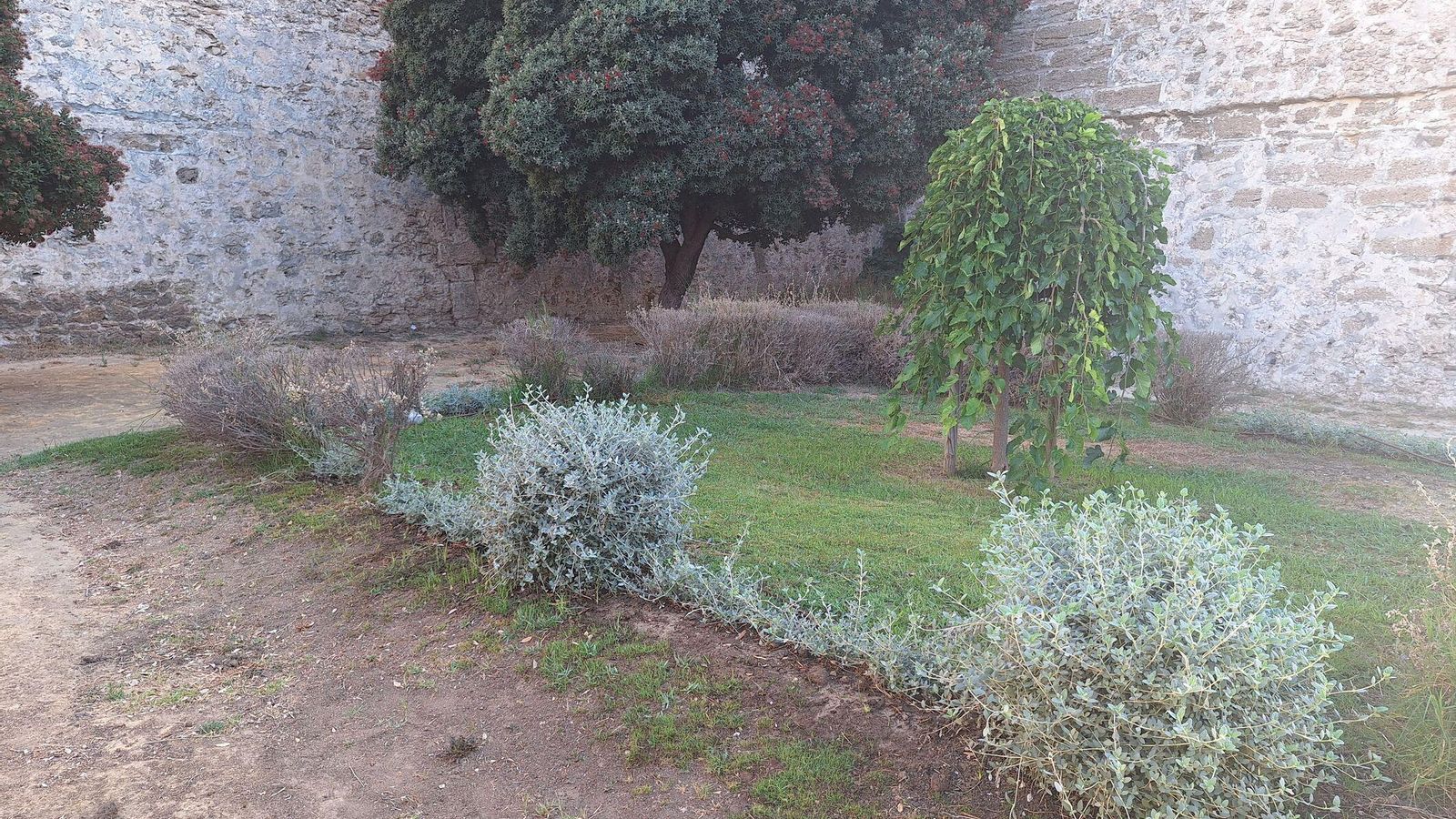 Los jardines, también necesitados de un buen arreglo.