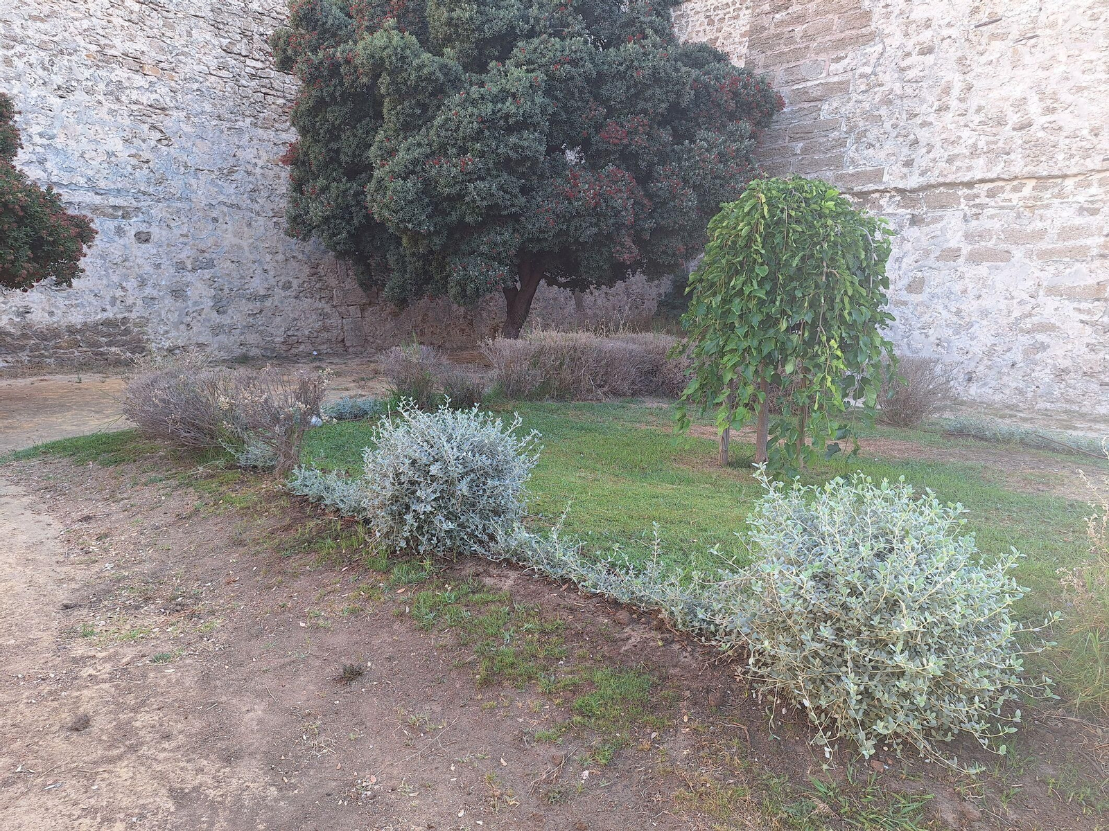Uno de los jardines de la ciudad, que en breve tendrá en vigor un nuevo contrato.