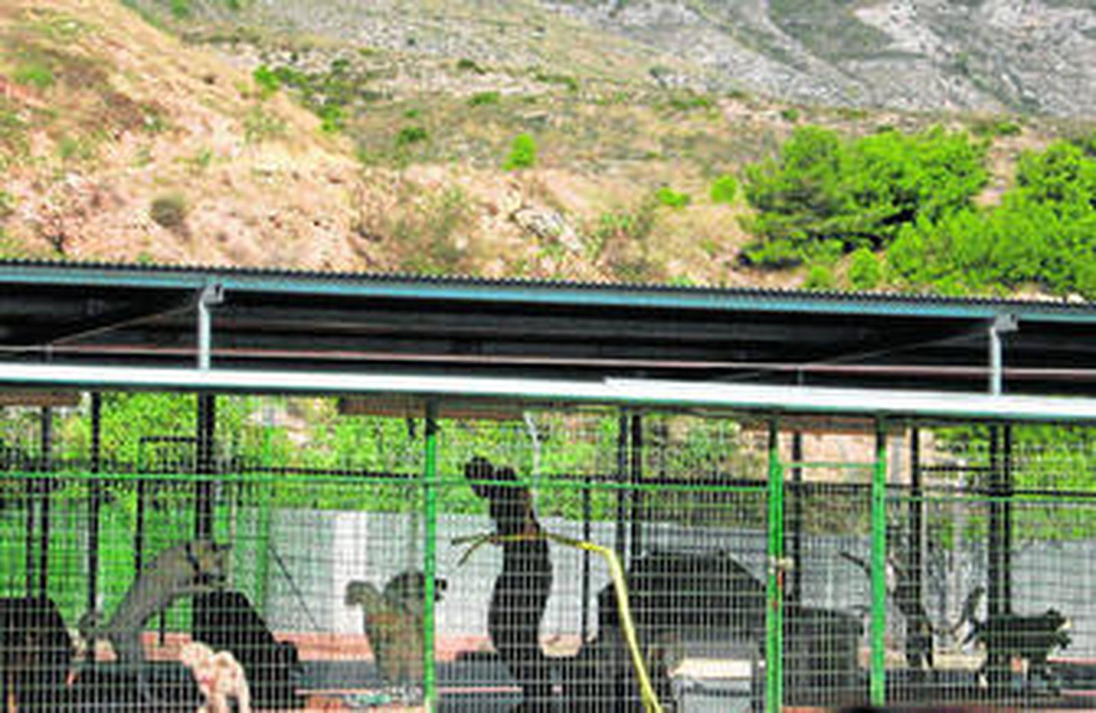 Interior del centro Parque Animal de Torremolinos hace dos años.