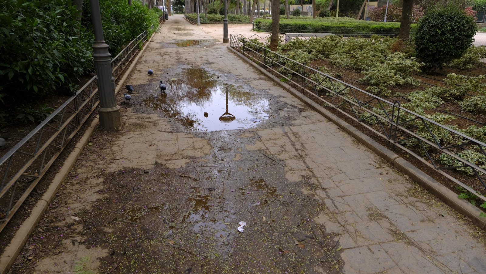 Fotogalería lluvia de barro en Almería
