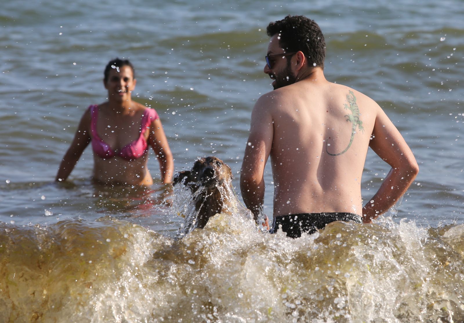 Las imágenes de la Playa del Espigón