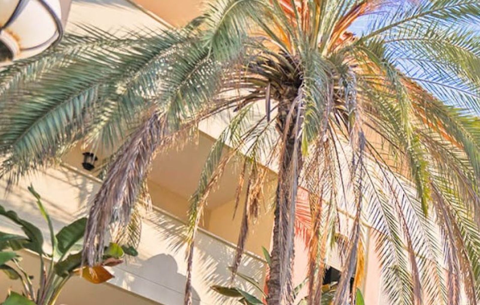 Un ‘erasmus’ de mayores nórdicos en la residencia ORPEA Puerto Banús en Andalucía