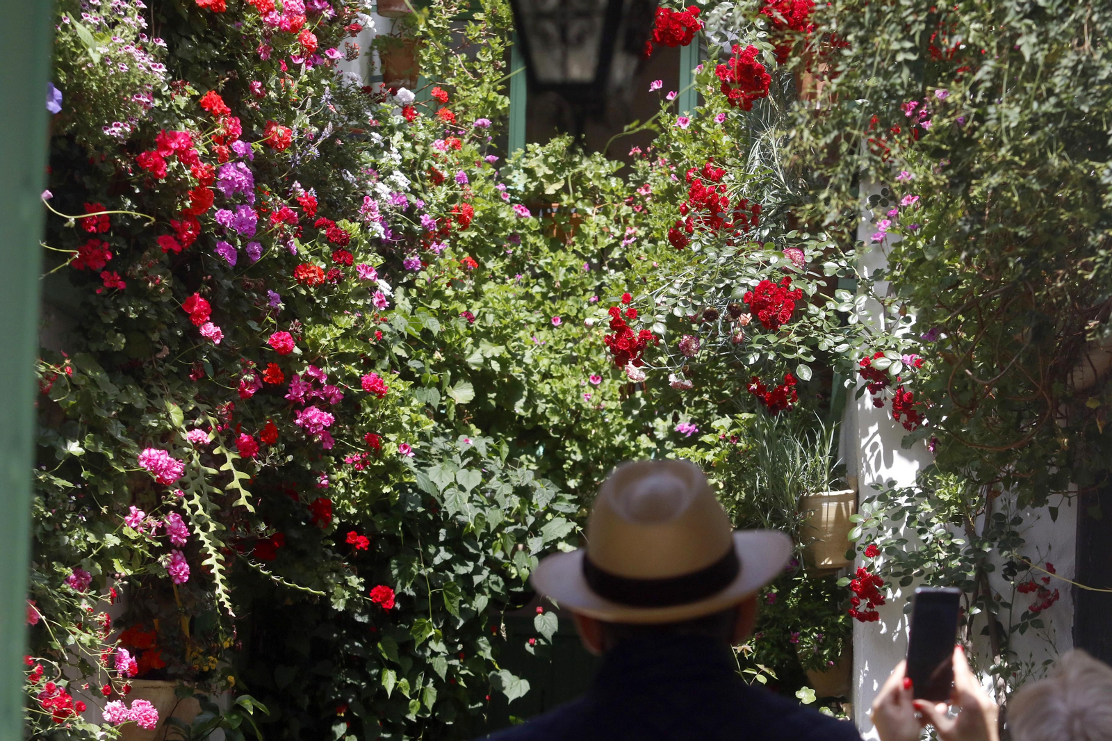 Ruta Alcázar Viejo de los Patios de Córdoba, en imágenes