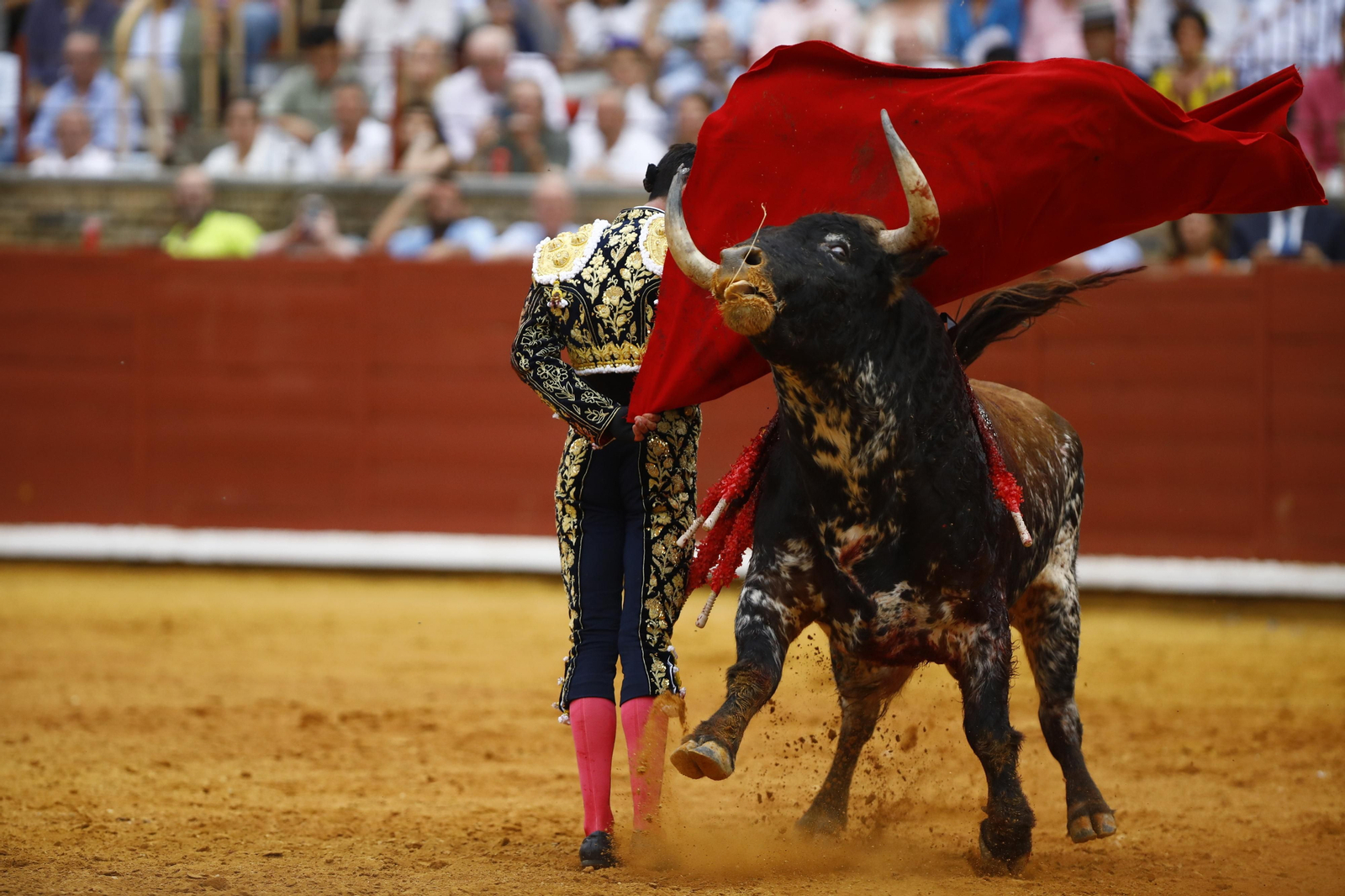 La corrida de Talavante, Roca Rey y Lagartijo, en Córdoba, en imágenes