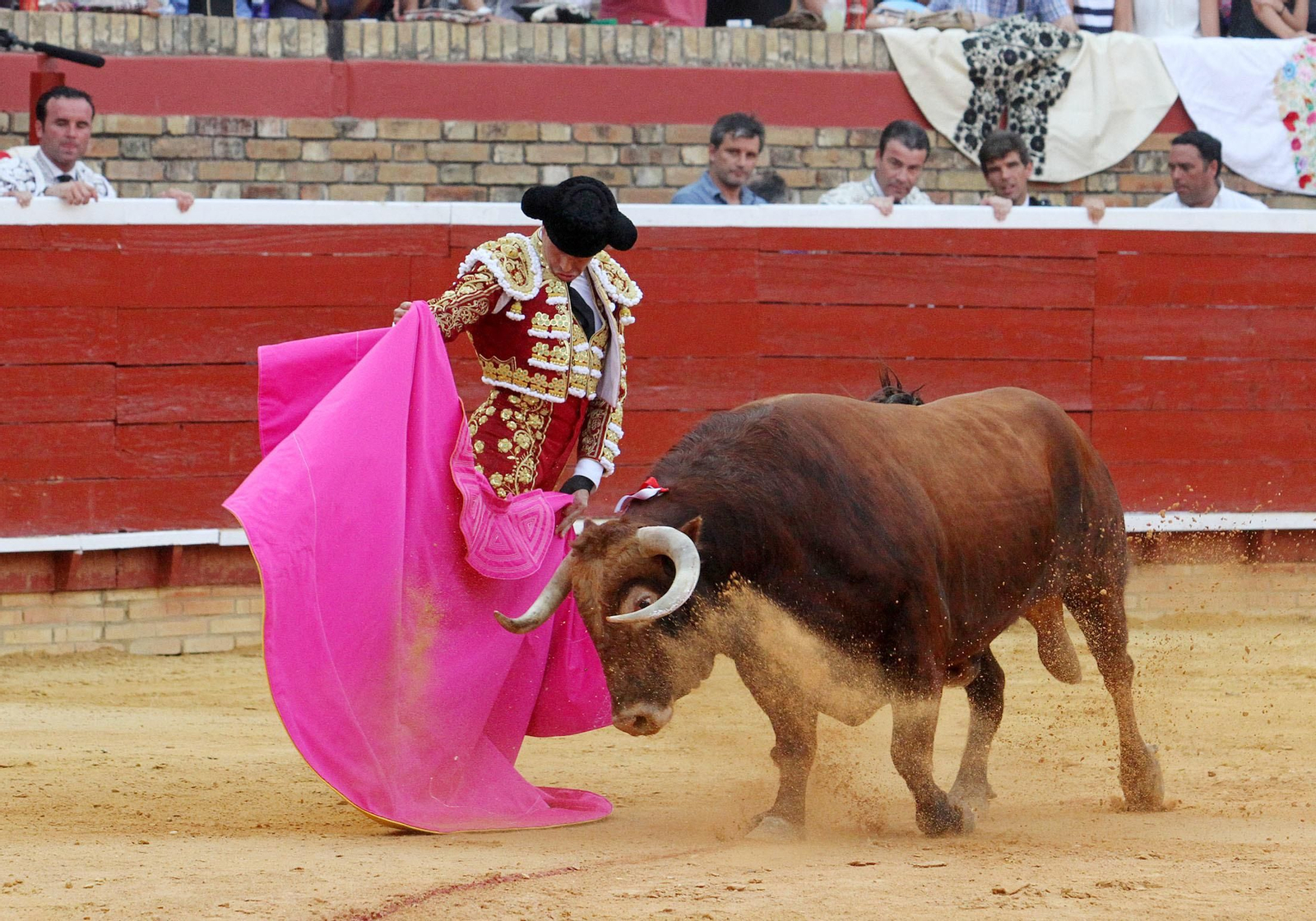 Imágenes de José María Manzanares durante la corrida de esta tarde en la Plaza de toros La Merced