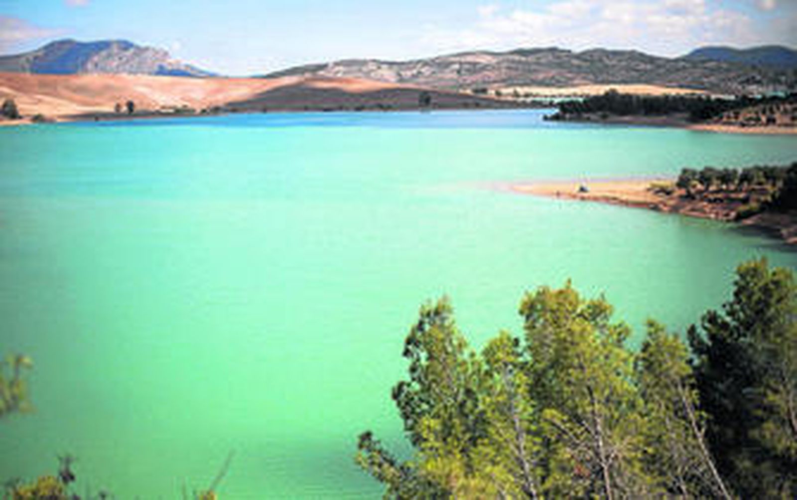 Veraneantes de agua dulce