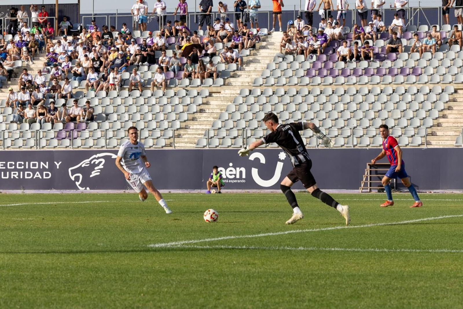 El triunfo del Real Jaén ante la UD Torre del Mar, en imágenes El triunfo del Real Jaén ante la UD Torre del Mar, en imágenes