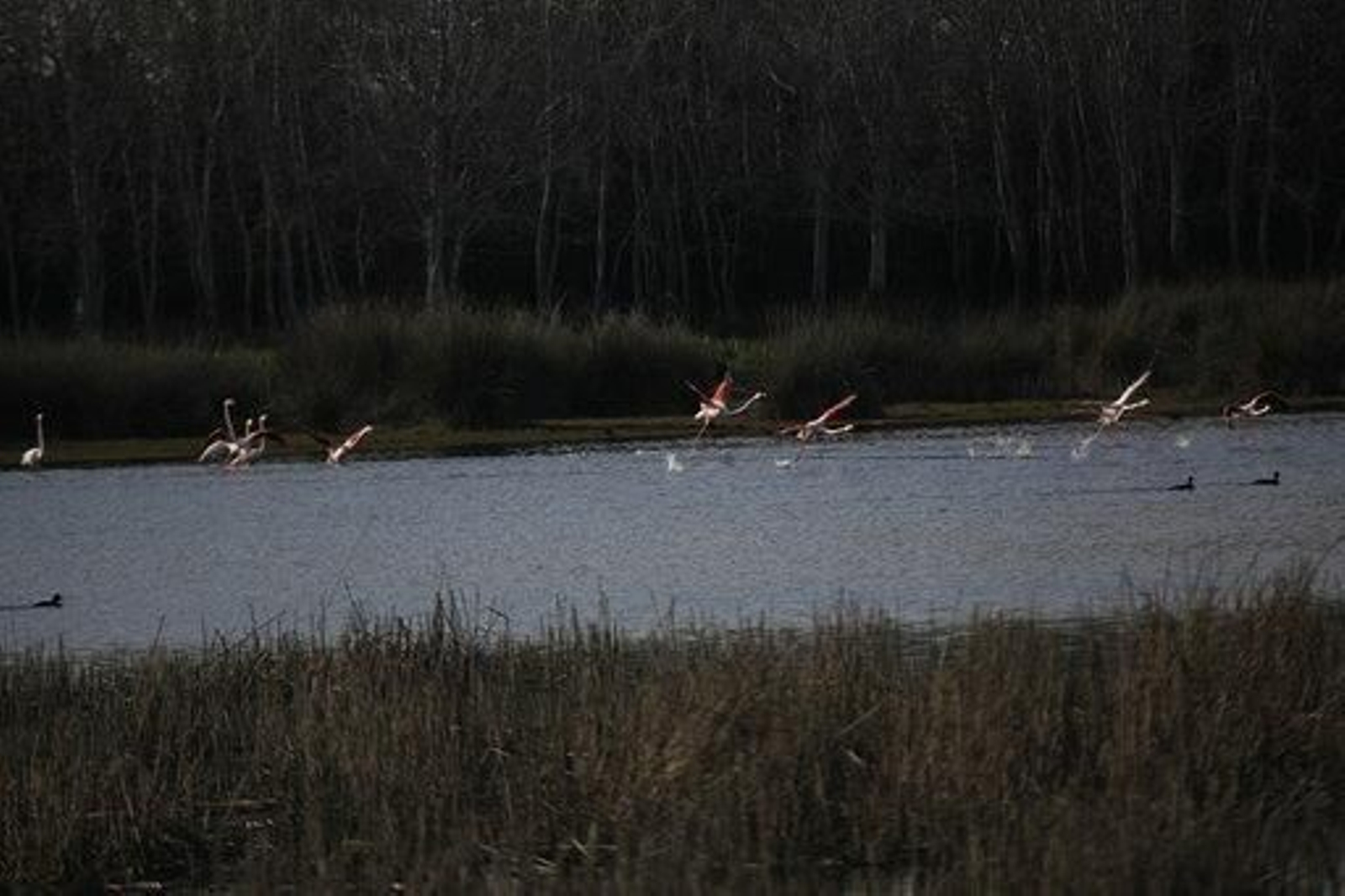 Imágenes de Don Felipe y Doña Letizia en su visita a Doñana