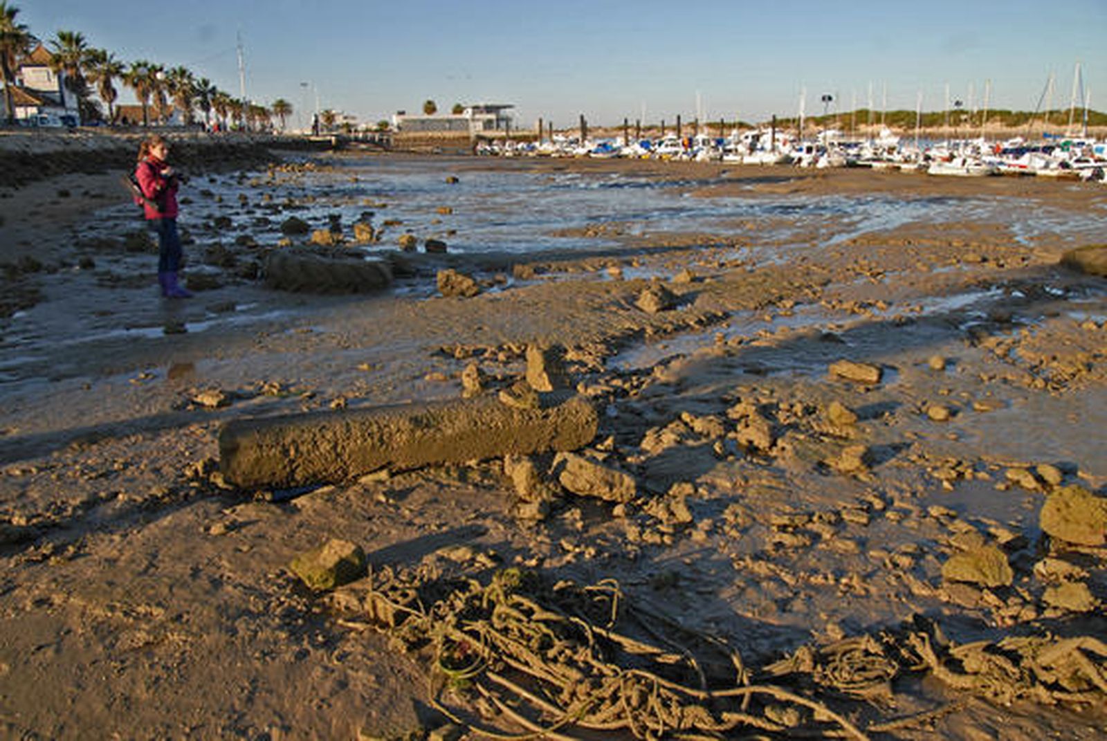 Durante la mañana en Sancti Petri, se han reunido cientos de personas para disfrutar la marea./Paco Periñán

Foto: Paco Perinan