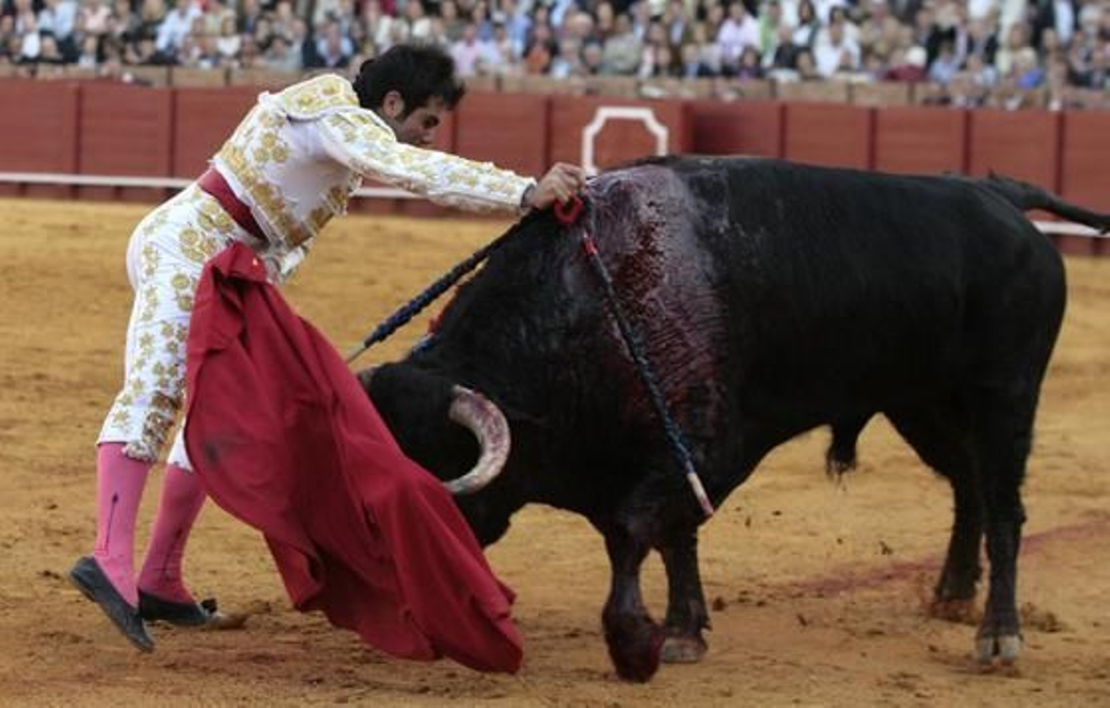 Salvador Vega, clavando la espada al astado. 

Foto: Juan Carlos Muñoz