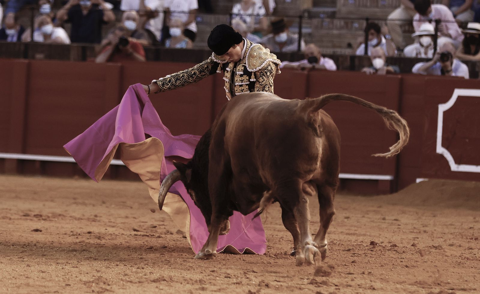 Fotos de la segunda novillada de la feria de San Miguel de Sevilla