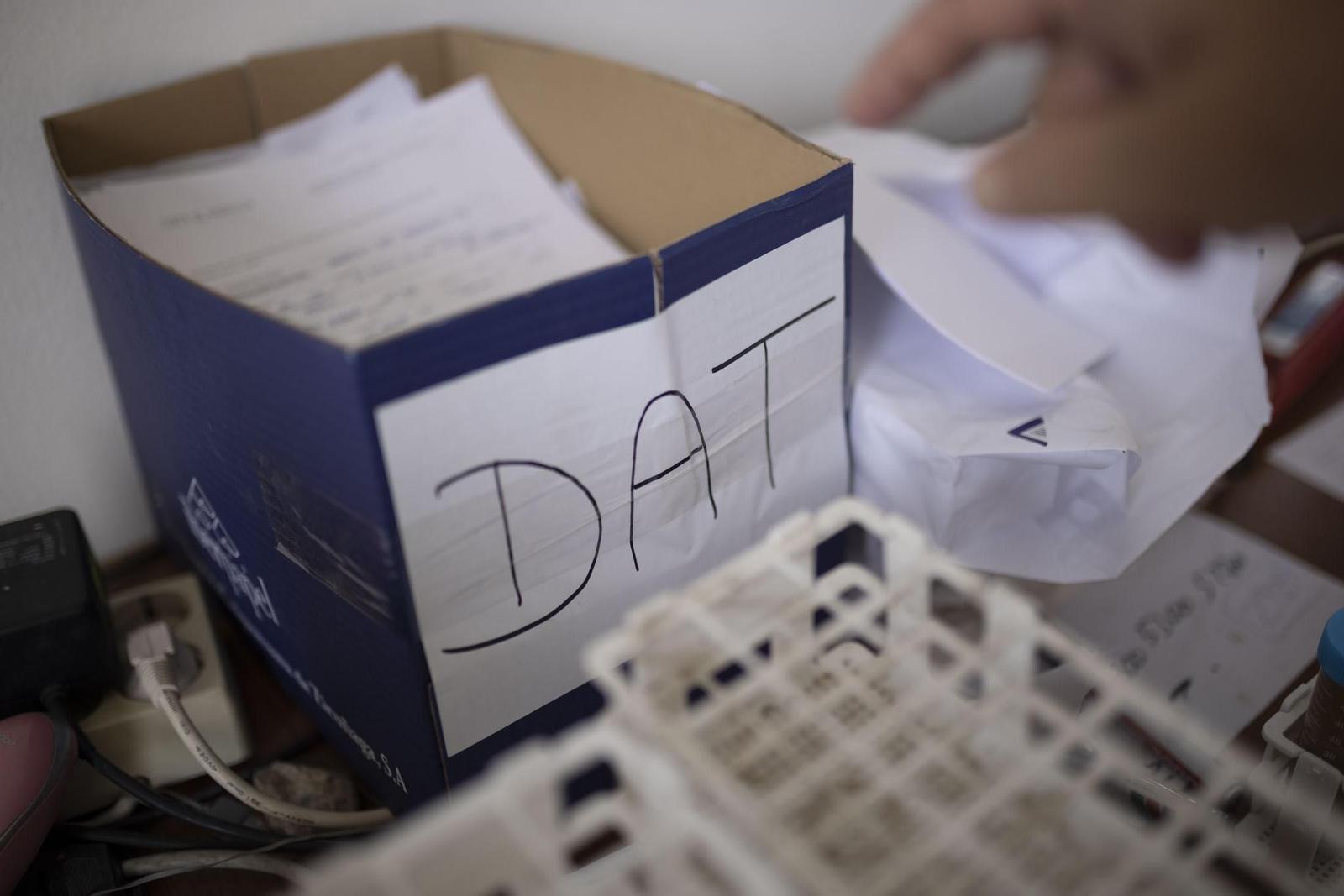 Imágenes de la vendimia en el Condado de Huelva