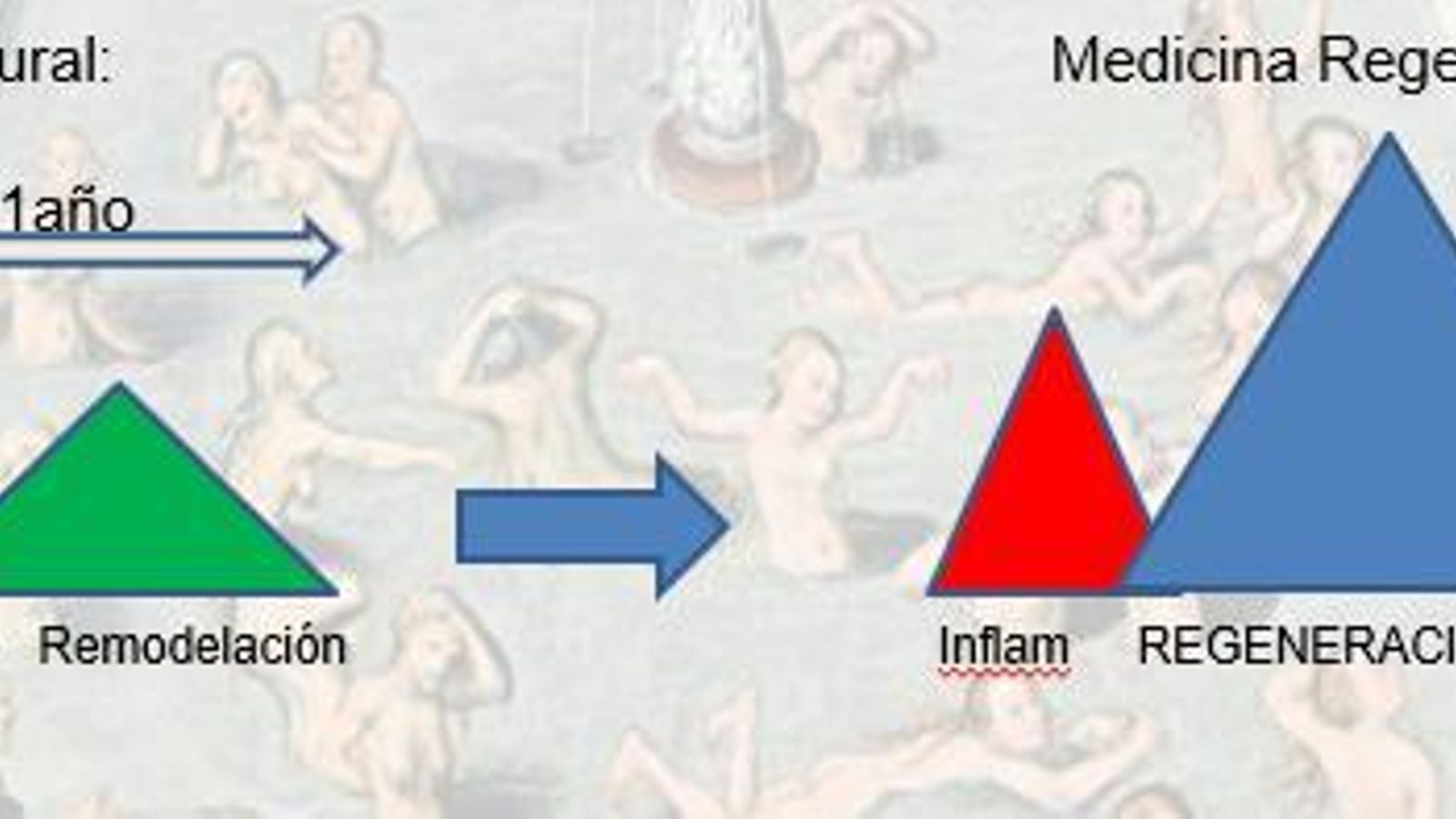 Esquema de las fases de recuperación.