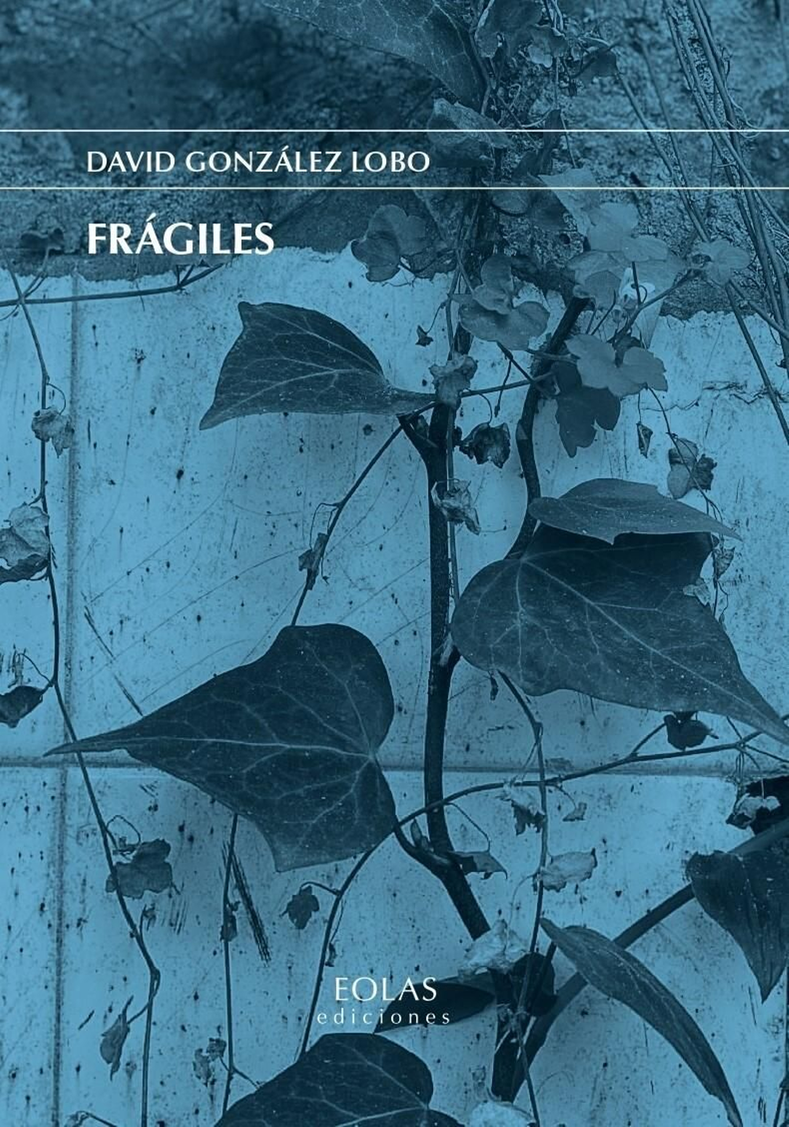 Portada de 'Frágiles'.
