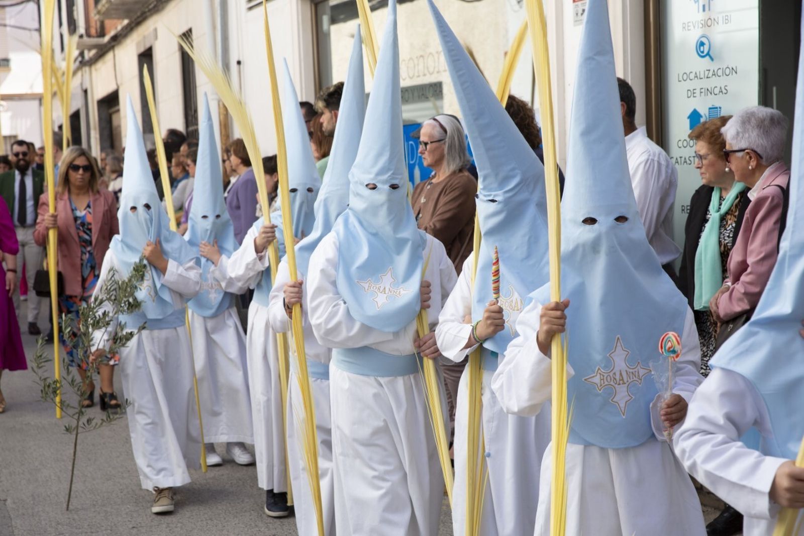 Domingo de Ramos en Montilla: La procesión de la Borriquita, en imágenes