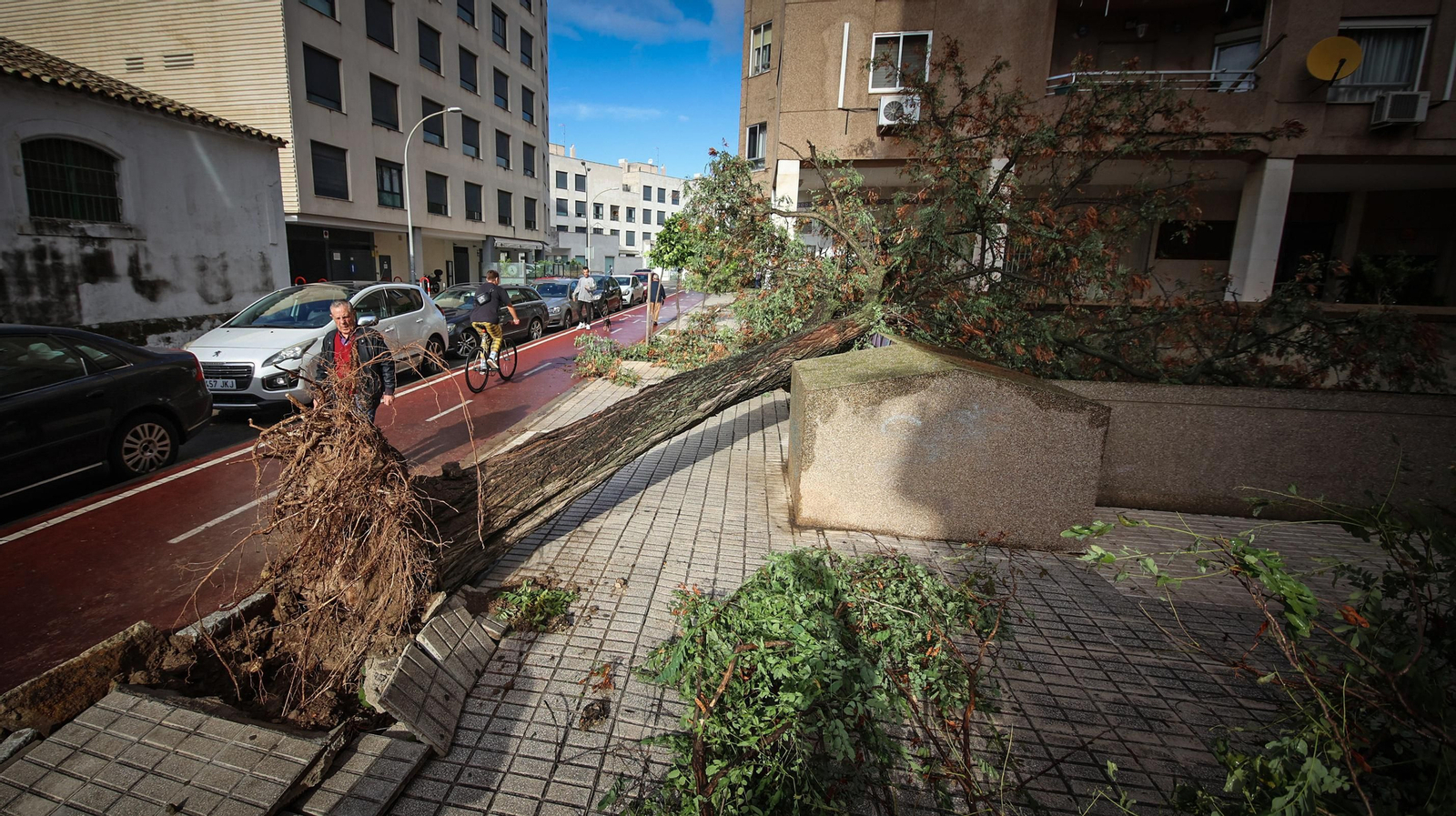 Así está Jerez tras el paso de 'Bernard'