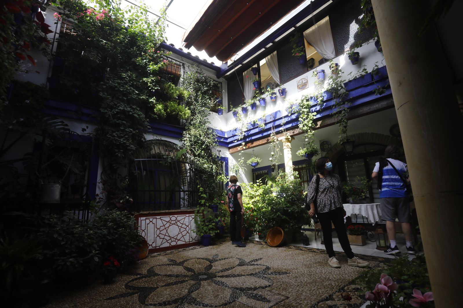 Un recorrido en fotografías por los Patios de Córdoba un domingo de otoño