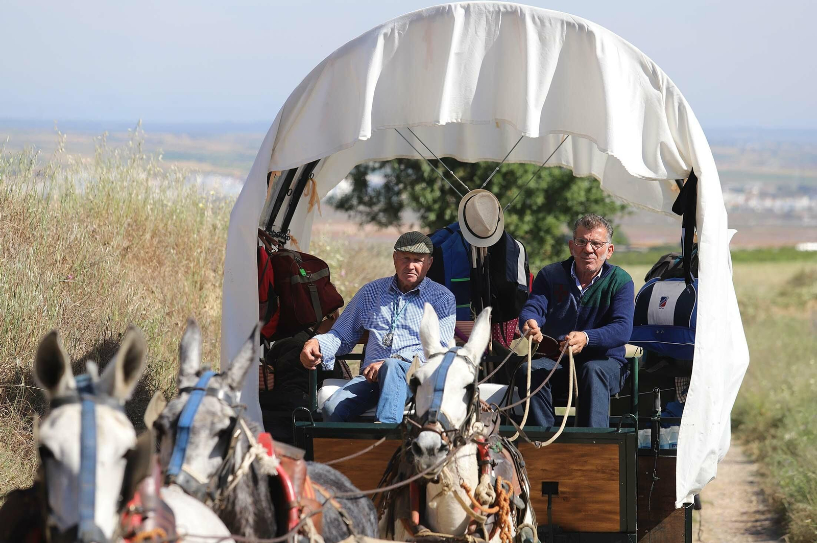 Imágenes de los presos de la cárcel de Huelva en su camino hacia El Rocío