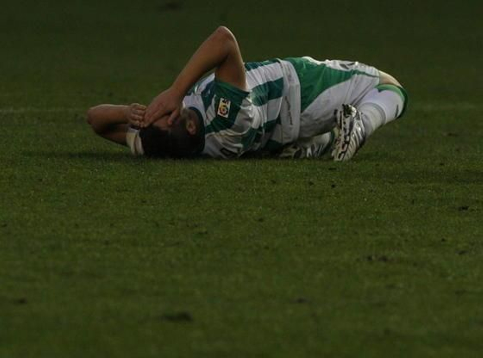 Foto: Alvaro Carmona