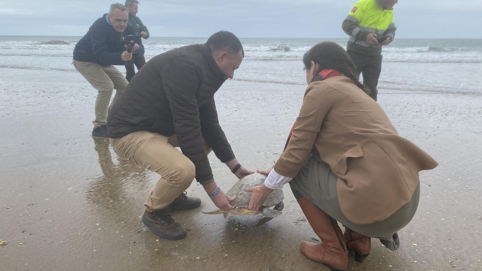 Liberación de uno de los ejemplares rescatados por pescadores onubenses.