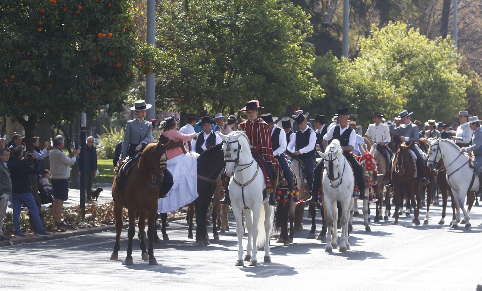 La marcha hípica en Córdoba por el 28-F, en fotografias.